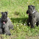 Jenny and Aerin in a meadow