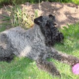 Jenny in the garden