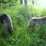 Jenny with Aerin on a trip