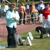 Jenny - Qwelín Braudag - CWC, MVP Wroclaw 2009