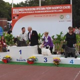 Aerin Princess Safirit - MVP Wroclaw - BIG 4